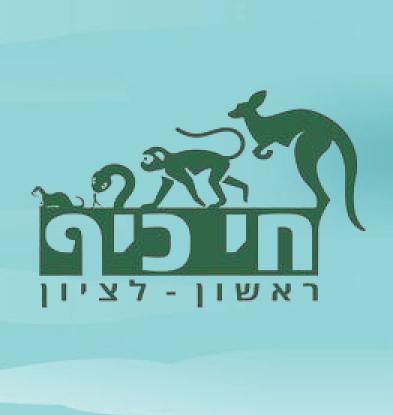 חי כיף